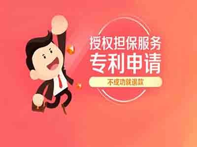 專(zhuān)利申請(qǐng)機(jī)構(gòu)